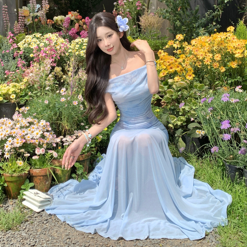 Iris Blue French Off-Shoulder Sheer A-Line Tulle Dress Set - Image 4